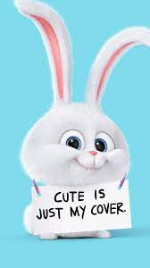 Cute Rabbit Is Just My Cover Iphone 6 Hd Wallpaper Cute Cartoon Wallpapers Bunny Wallpaper Rabbit Wallpaper