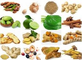 Maybe you would like to learn more about one of these? Seperti Apa Peluang Usaha Dari Menanam Tumbuhan Herbal
