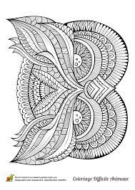 page 48 sur 49 hugolescargot com owl coloring pages colouring art therapy coloriage brumeux