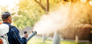 Pest control to protect your home in alabama & florida. Pest Control Near Me St Augustine Yulee Jacksonville Fl Termite Treatment