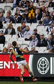 Maybe you would like to learn more about one of these? Dustin Martin Shouldn T Be Punished For His Gesture To Fans Says Mark Robinson