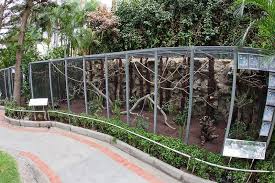 Bird Aviary For Sale Gauteng Pin On Parrot Aviary