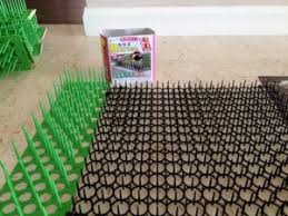 Diy bird control methods that don't work. Review Drive Away Pigeons Bird Spikes From Daiso Diary Of A Sahm