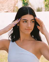 Born in cambridge as charlotte emma aitchison, charli xcx is a singer, songwriter, model and actress. Charli D Amelio Is Releasing A Book This Year Girlslife