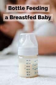 Bottle Feeding A Breastfed Baby Mama Sloth Blog