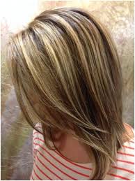 26 Highlight And Lowlight Ideas Brown Blonde Hair Hair Styles Hair Highlights
