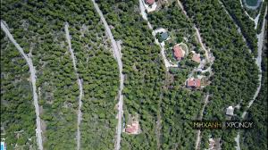 Επιπλα κουζινασ τιμεσ, παλληνη ; Dramatiko Sos Apo Ton Oikismo Poy Anaptyx8hke Stoys Propodes Ths Parnh8as Kai Kindyneyei Na Kaei Opws To Mati Deite Apo Pshla Toys Dromoys Poy Odhgoyn Se Adie3odo Binteo Drone Mhxanh Toy