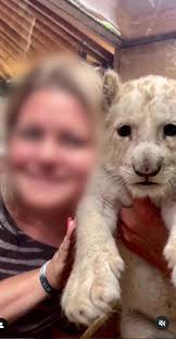 Clawing at the Cages: Big Cats in Zoos (2024) by bornfreeusa