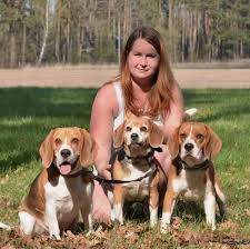 Image result for bígl