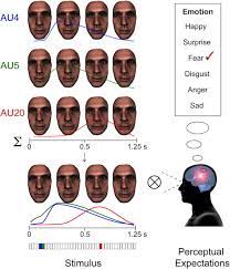 Emotion is a complex experience of consciousness, sensation, and behavior reflecting the personal significance of a thing, event, or state of affairs. Dynamic Facial Expressions Of Emotion Transmit An Evolving Hierarchy Of Signals Over Time Current Biology