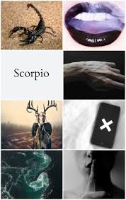 Scorpio Aesthetic Numerology Scorpio Zodiac Signs