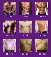 A 10 part muscle building super series that focuses on muscle building for every major muscle group, and includes anatomy, exercises and workouts. How Long Does It Take For Teenagers To Build Abs And Muscles Quora