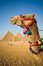 No, houston in the old days. I D Walk A Mile For A Camel