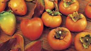 Persimmon coloring pages provided for. Growing Persimmons Finegardening