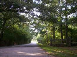 Fun at bolding mill campground. Bolding Mill Lake Sidney Lanier Recreation Gov