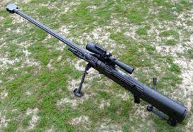 Denel NTW-20