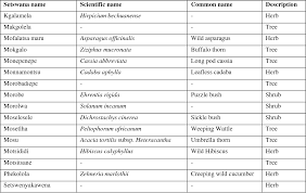 Image result for Hirpicium bechuanense