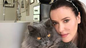 Download and use 1,000+ cat stock videos for free. Chats Cats Make Up For Staying In Lisa Eldridge