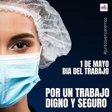 Pin Pa Koira Nuestras Fotos