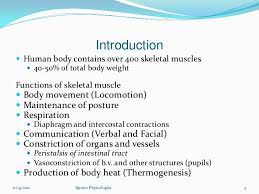 Skeletal Muscle Structure Function