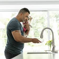 Since 1919 we've been bringing culinary inspiration to life, ensuring that anything you want to do in the kitchen, you can do with kitchenaid. Saybrook Water Filter Faucet American Standard