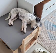 Camila Araujo ⭐️ (@camilaraujo86)  Posts  X