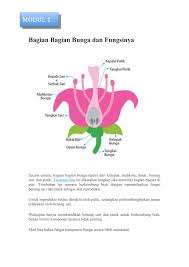 Struktur bunga lengkap dengan gambar dan fungsinya. Bagian Bunga Dan Fungsinya Flip Ebook Pages 1 7 Anyflip Anyflip