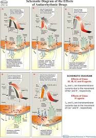 Pharmacy Charts