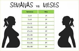 Cuantas Semanas De Embarazon Son 40 O 42 Bebes De Agosto 2014 Felices 4 Anitos A Todos Los Bebes Babycenter