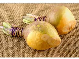 Turns out this vegetable isn't only. Can Dogs Eat Swedes Parsnips And Squash Chelsea Dogs Blog