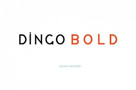 Download Dingo Bold Fonts Style 2019 Download Free Fonts From Font Bundles Premium Fonts Without The Best Script Fonts Free Fonts Download Bold Script Font