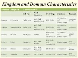 Domain And Kingdom Chart Bedowntowndaytona Com