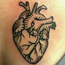 Let's take for example the art of tattooing. Anatomical Heart Anatomical Tattoos Anatomical Heart Tattoo Heart Tattoo