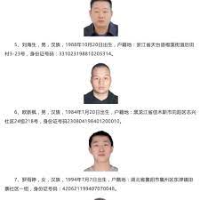 公安部发布a级通缉令 对10名重大在逃电信网络诈骗犯罪集团头目进行公开通缉 movie posters movies poster