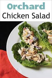 Orchard Chicken Salad Recipe With Apples Good Cheap Eats Recipe Homemade Chicken Salads Salad Recipes Chicken Salad Recipes