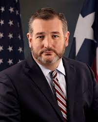 3 wheel design and wide deck makes for a super stable and safe riding platform. Ted Cruz Wikipedia