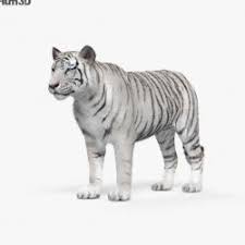 The White Tiger Torrent Stlfinder Balram halwai (adarsh gourav) narrates his epic and darkly humorous rise from poor villager to successful entrepreneur in modern india. the white tiger torrent stlfinder