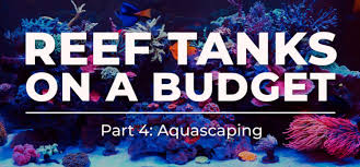 Thinking about creating your own reef tank? Reef Tanks On A Budget Part 4 Aquascaping Simplicity Aquatics