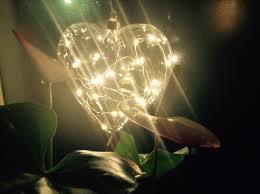 Pin On Fairydusk Decorative Led Lighting