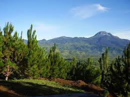 Frequent flights from manila and other major cities make it an accessible destination. 10 Best Tourist Spots In Davao City Tourist Spots Finder