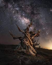 Fine Art Nature And Landscape Photography By Rudy Serrano Landscape Photography Nature Art Aesthetic Photography Nature