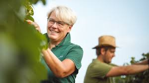 Durch corona darf der weinstand eine woche länger bewirtschaftet werden! Home