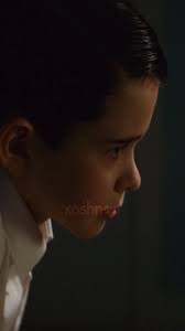 Vivarium Gemma Chase Boy