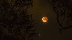 يسقط ظل الأرض بالكامل على القمر، لن يختفي القمر نهائيًّا، ولكنه سيُغمَر في ظلامٍ مهيب؛ لذا سيكون من السهل أن تغفل عن رؤيته إن لم تبحث عن الخسوف في المقام الأول. Ù‚Ù…Ø± Ø§Ù„Ø¯Ù… ØµÙˆØ± Ù„Ù„Ø®Ø³ÙˆÙ Ø§Ù„ÙƒÙ„ÙŠ ÙƒÙ…Ø§ Ø¸Ù‡Ø± ÙÙŠ Ø£ÙƒØ«Ø± Ù…Ù† Ù…ÙƒØ§Ù† Ø¨Ø§Ù„Ø¹Ø§Ù„Ù… Cnn Arabic