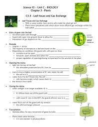 Plant cells become turgid when fully inflated with water. File Mr Downing Science 10