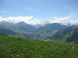 gstaad saanenland early summer in the swiss alps 風景 山