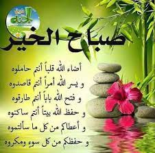 pin by هوی المشتاق on shosho morning greetings quotes morning greeting flower wallpaper