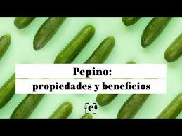 We did not find results for: Pepino Propiedades Beneficios Y Valor Nutricional De Este Alimento