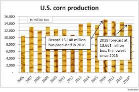 U S D A Lowers 2019 Corn Soybean Wheat Forecasts 2019