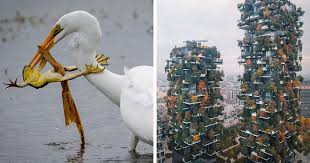 Trusted instagram stalker will help you to watch instagram content without signing up or if you are blocked. Top 30 Most Stunning Photos From The National Geographic Instagram Photography Contest Bored Panda